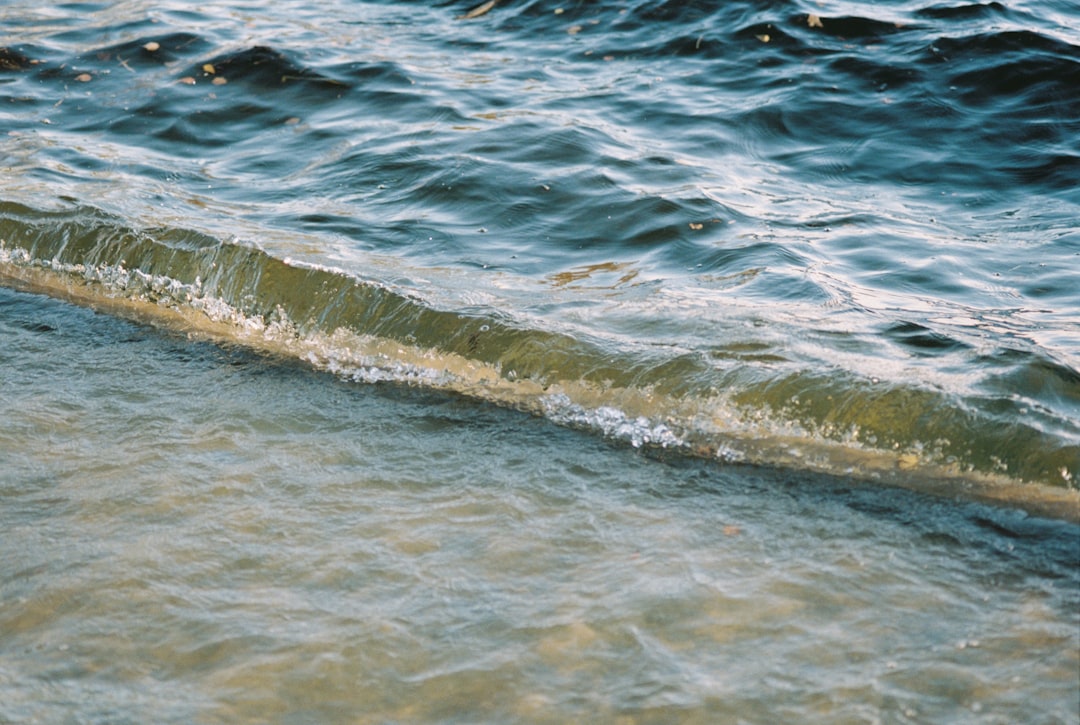3. Chile: The Long Coastline at Risk (image credits: unsplash)