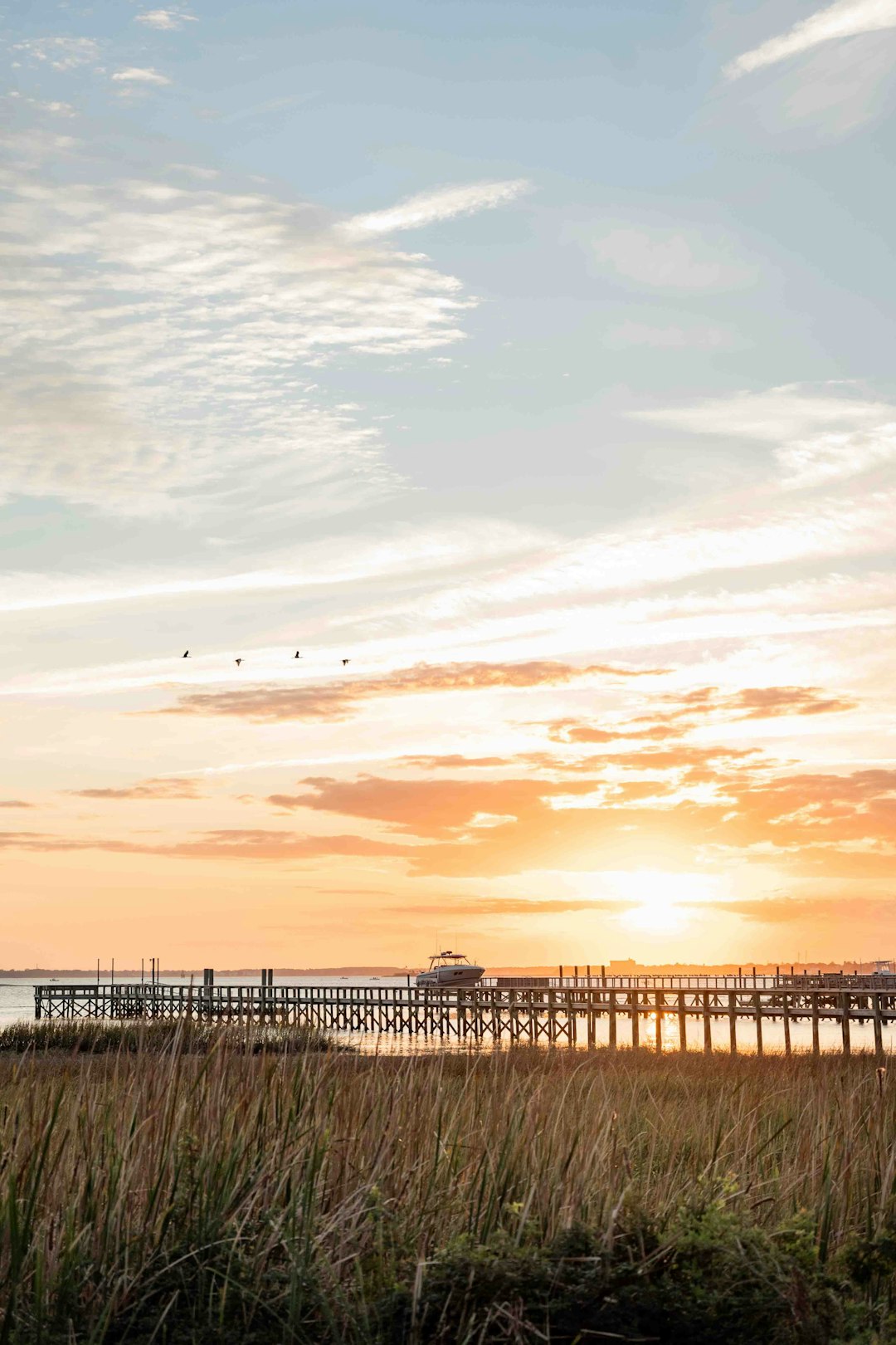 Charleston South Carolina Timeless Charm (image credits: unsplash)