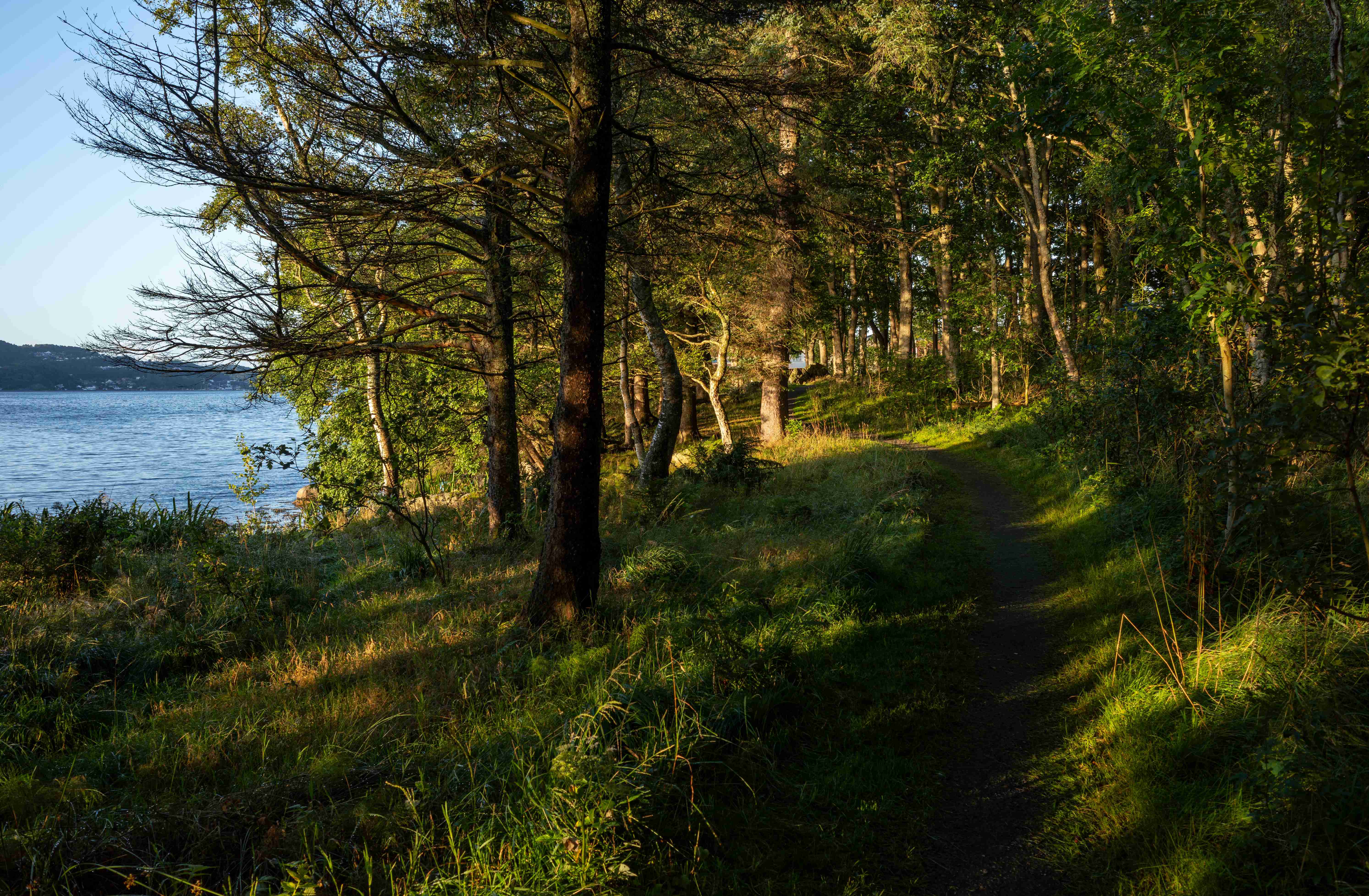 Norway: Nature, Trust, and Prosperity (image credits: wikimedia)