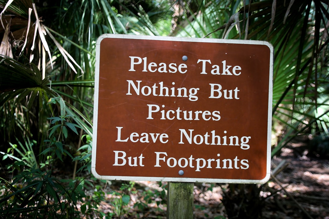 Environmental Impacts: The Double-Edged Sword of More Travel (image credits: unsplash)