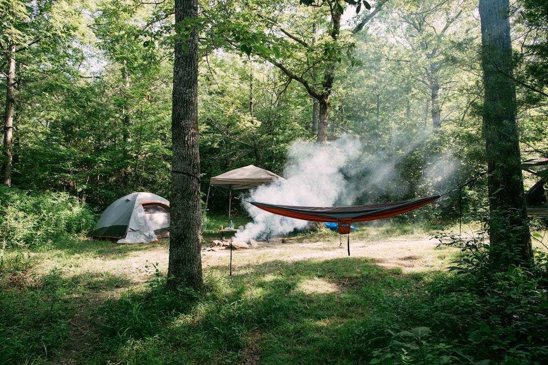 22. State Park Camping Adventures (image credits: unsplash)