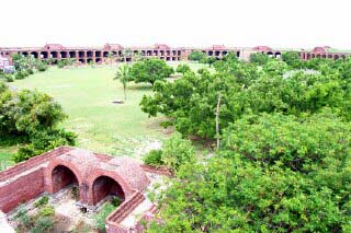 2. Dry Tortugas National Park – A Remote Island Fort (image credits: wikimedia)