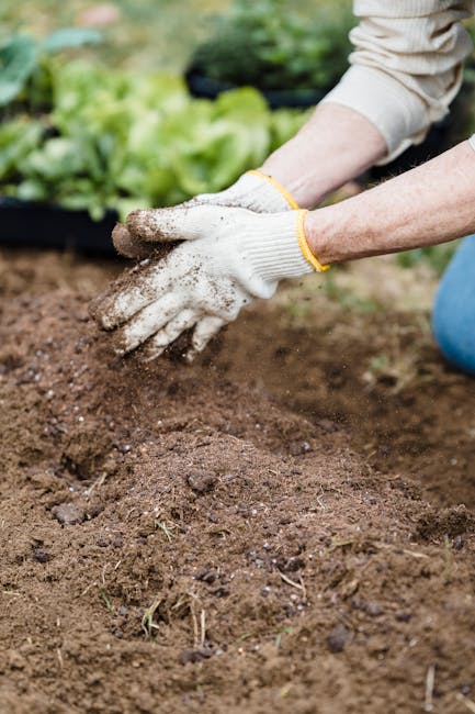 2. Create Free Mulch from Yard Waste (image credits: pexels)