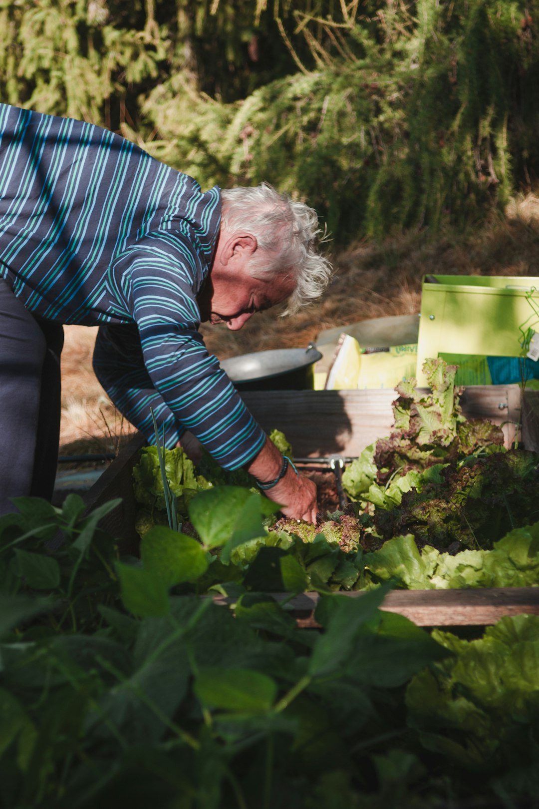 29. Gardening - Growing More Than Plants (image credits: unsplash)