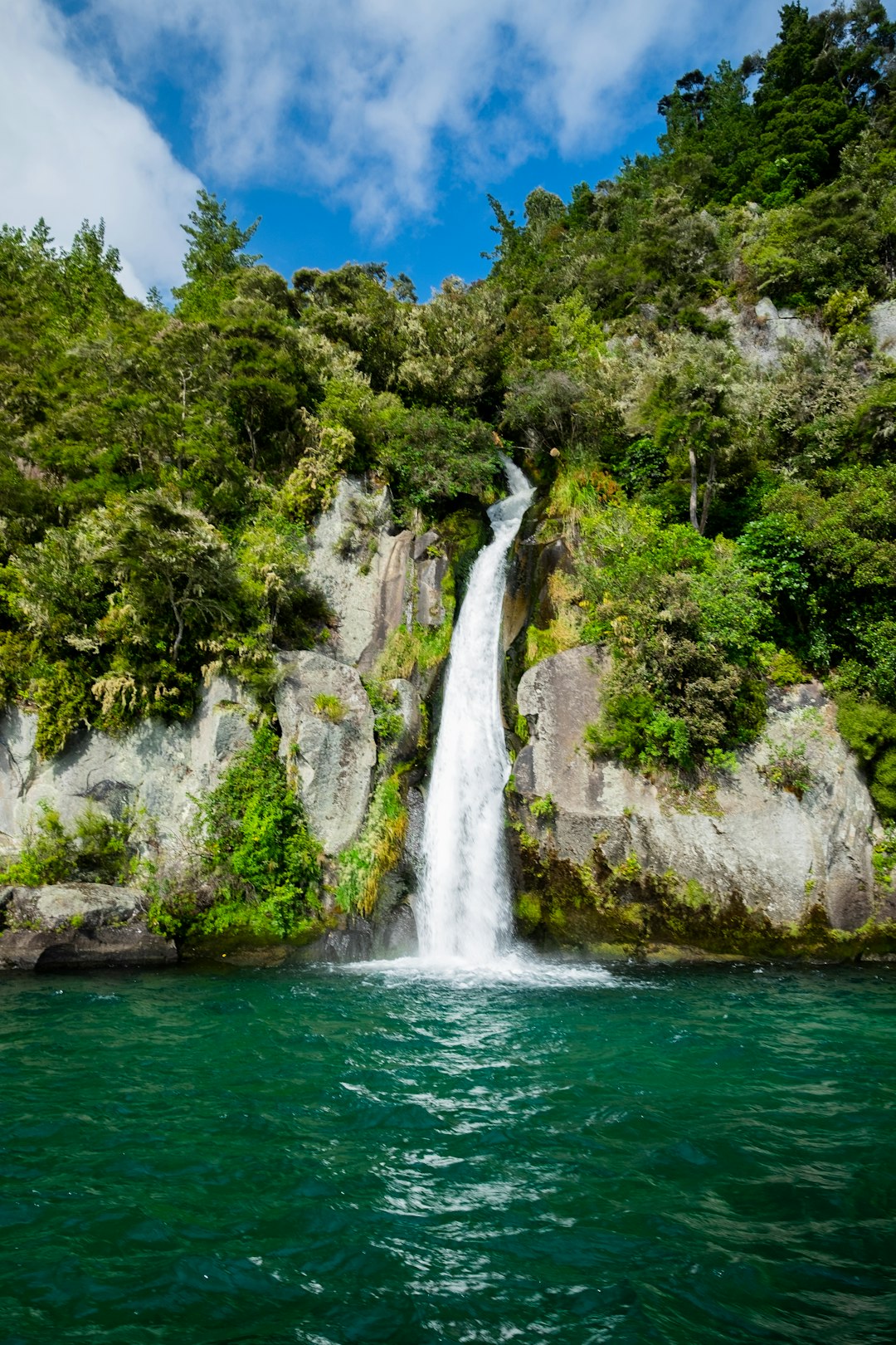 Rediscovering My Own Backyard (image credits: unsplash)