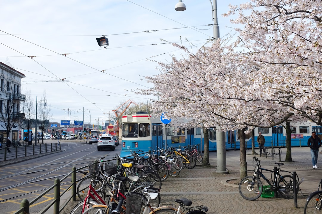Sweden: A Pioneer in Sustainability (image credits: unsplash)