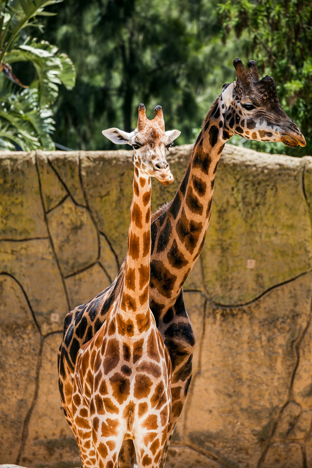 18. Blank Park Zoo in Des Moines (image credits: unsplash)