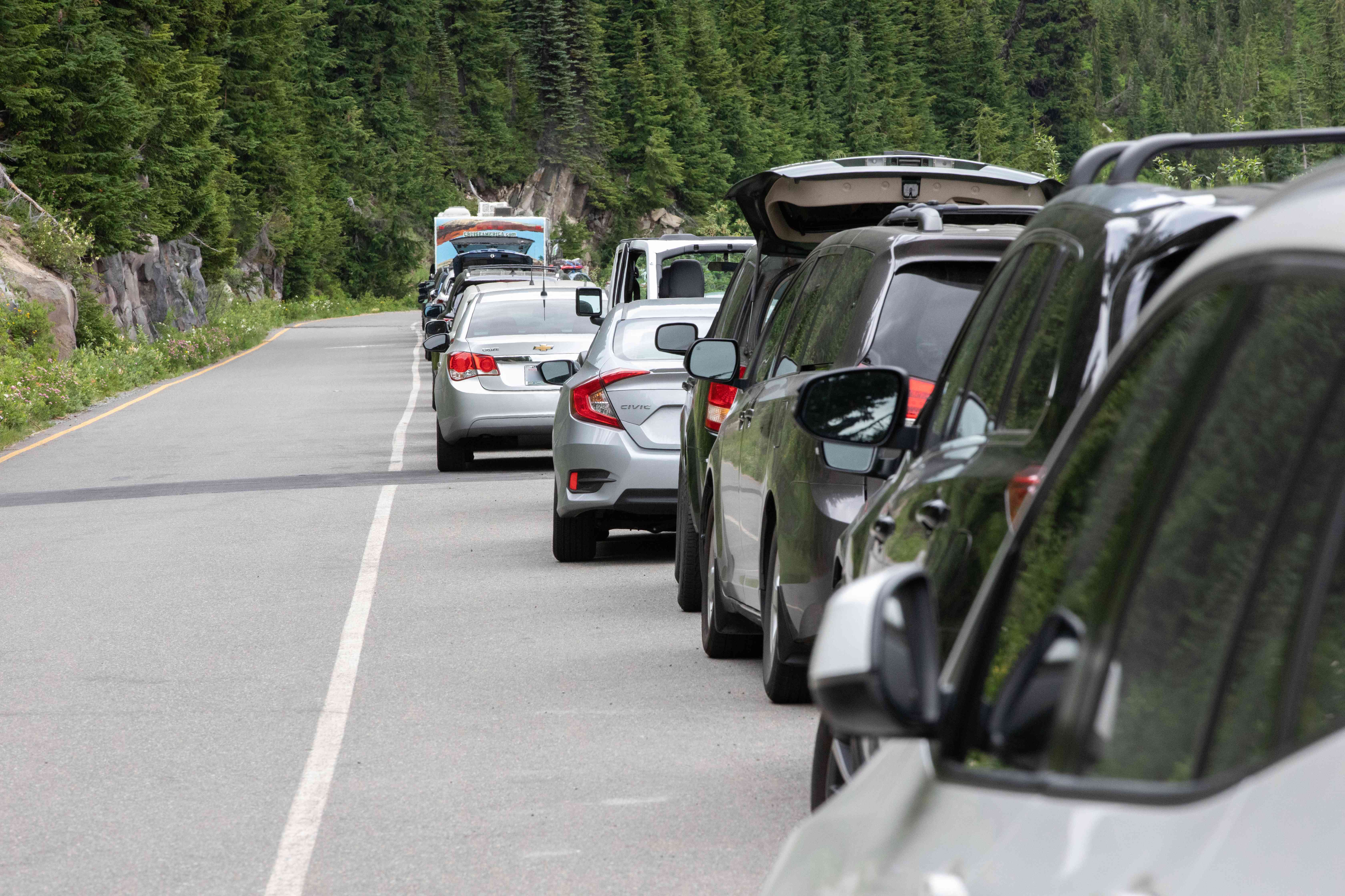 Challenges of Overcrowding and Resource Strain (image credits: wikimedia)