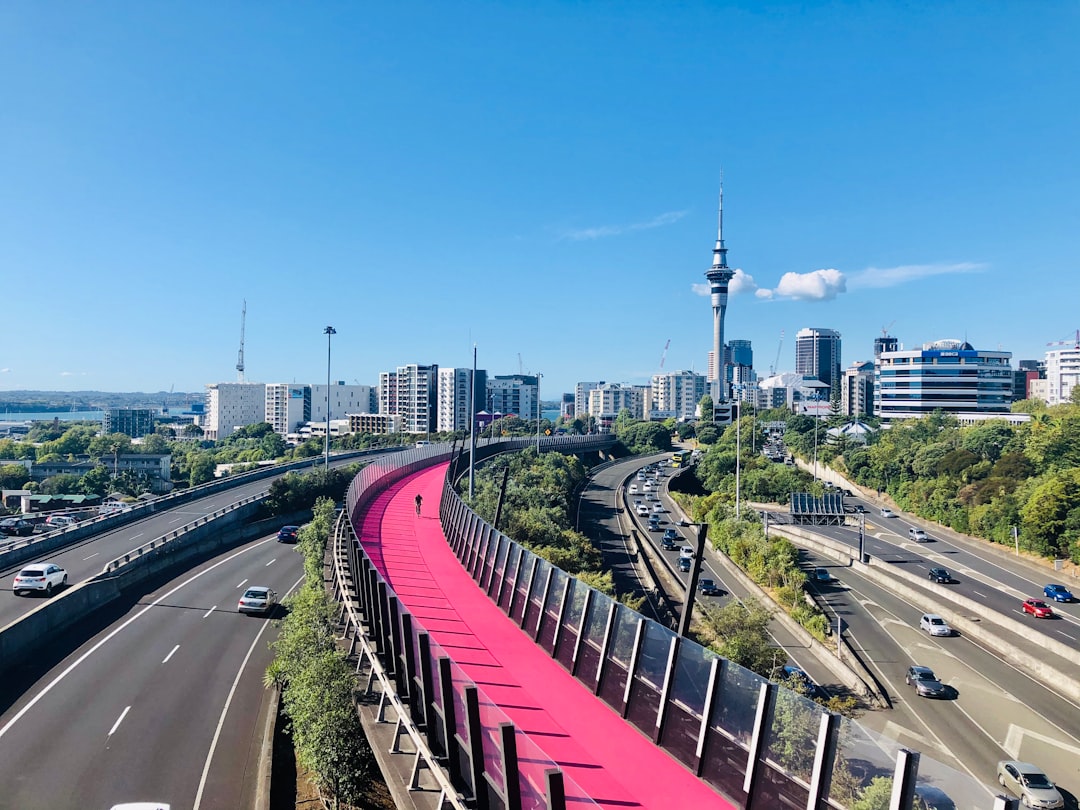New Zealand: A Haven of Harmony and Resilience (image credits: unsplash)