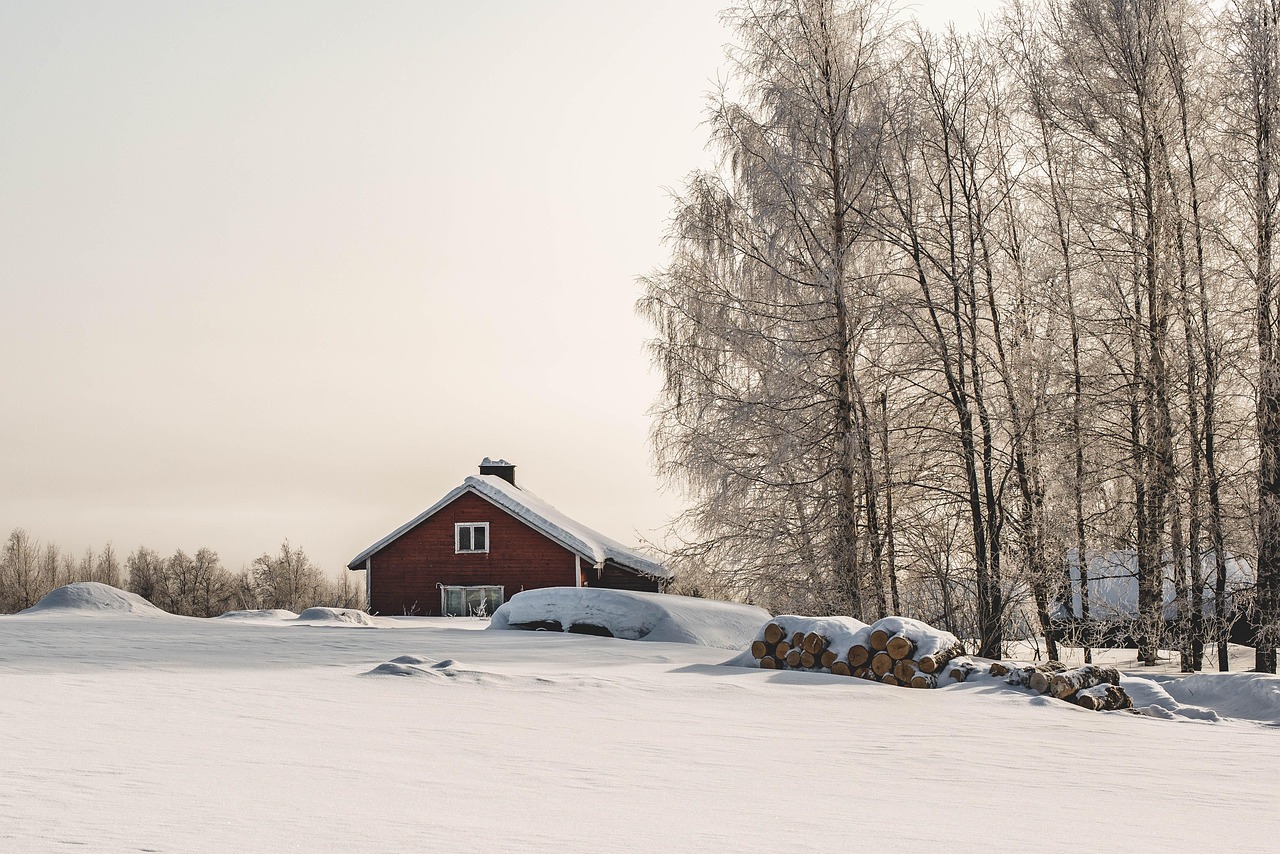 1. Finland: The Happiest Nation (image credits: pixabay)