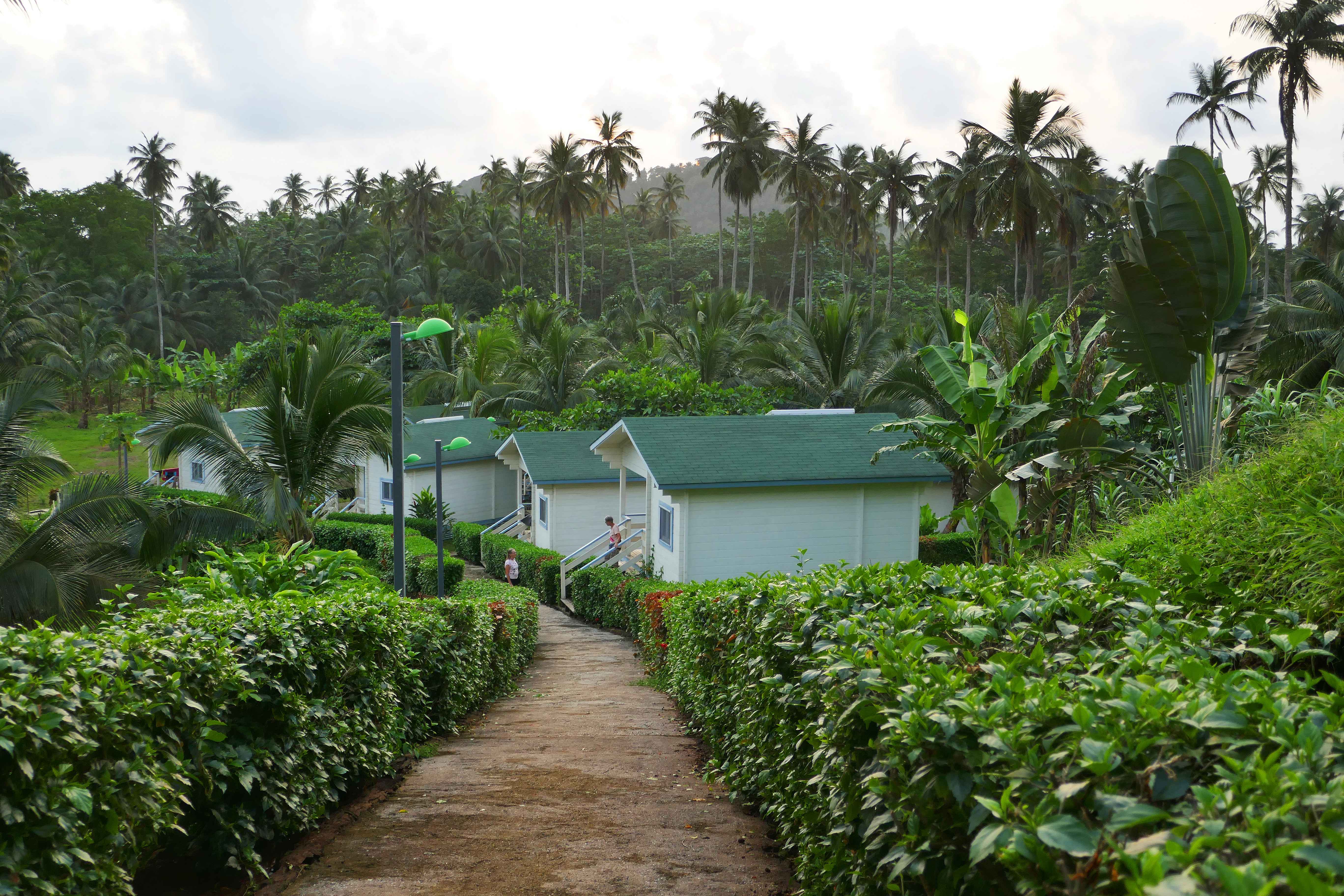 São Tomé and Príncipe's Untouched Paradise (image credits: wikimedia)