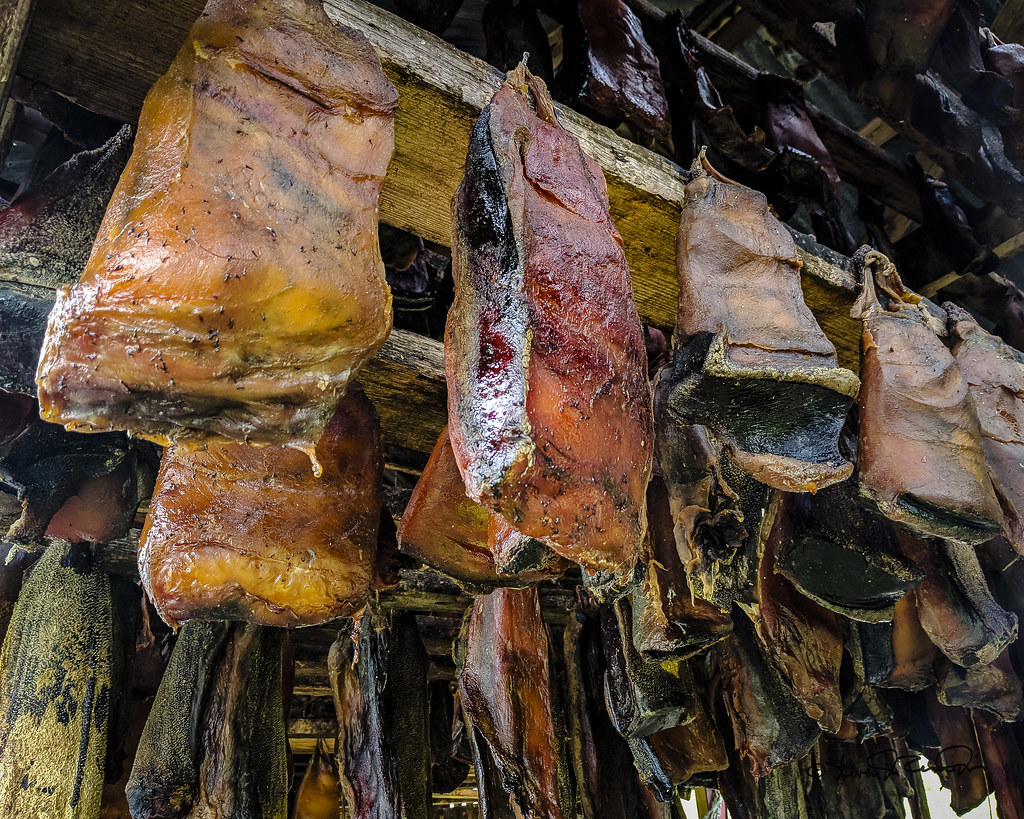 Texture and Appearance: The Visual Shock Factor (image credits: flickr)
