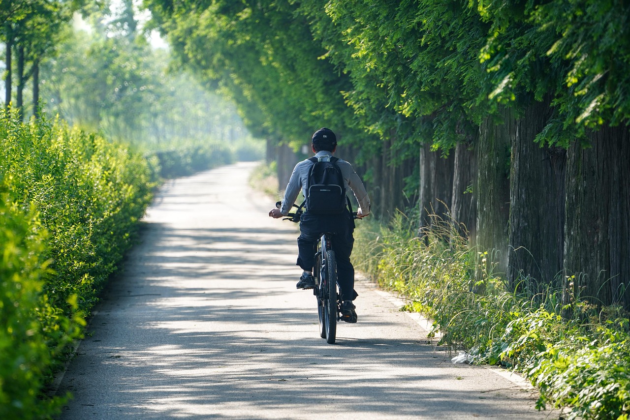 The Impact of Nature and Outdoor Activities (image credits: pixabay)
