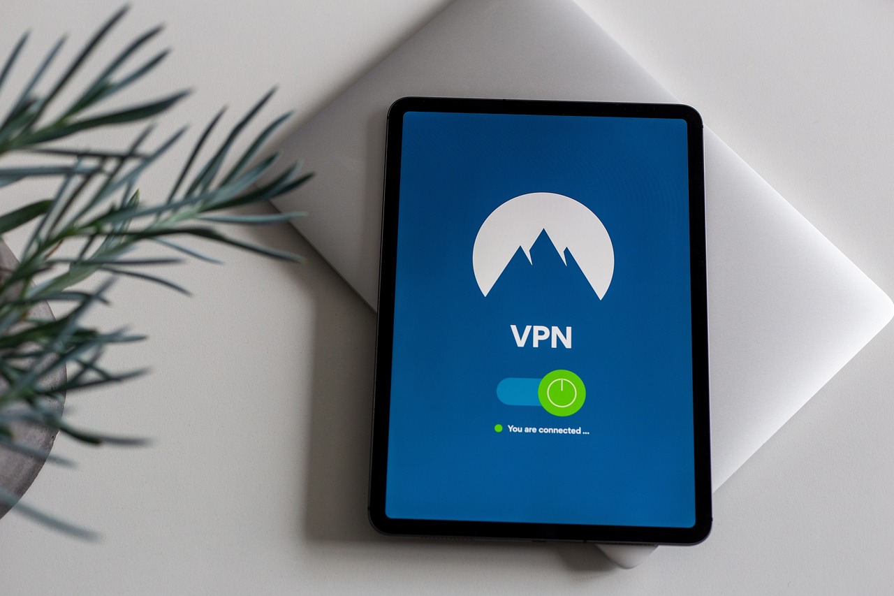 Using VPNs to Appear as Booking from Cheaper Countries (image credits: pixabay)