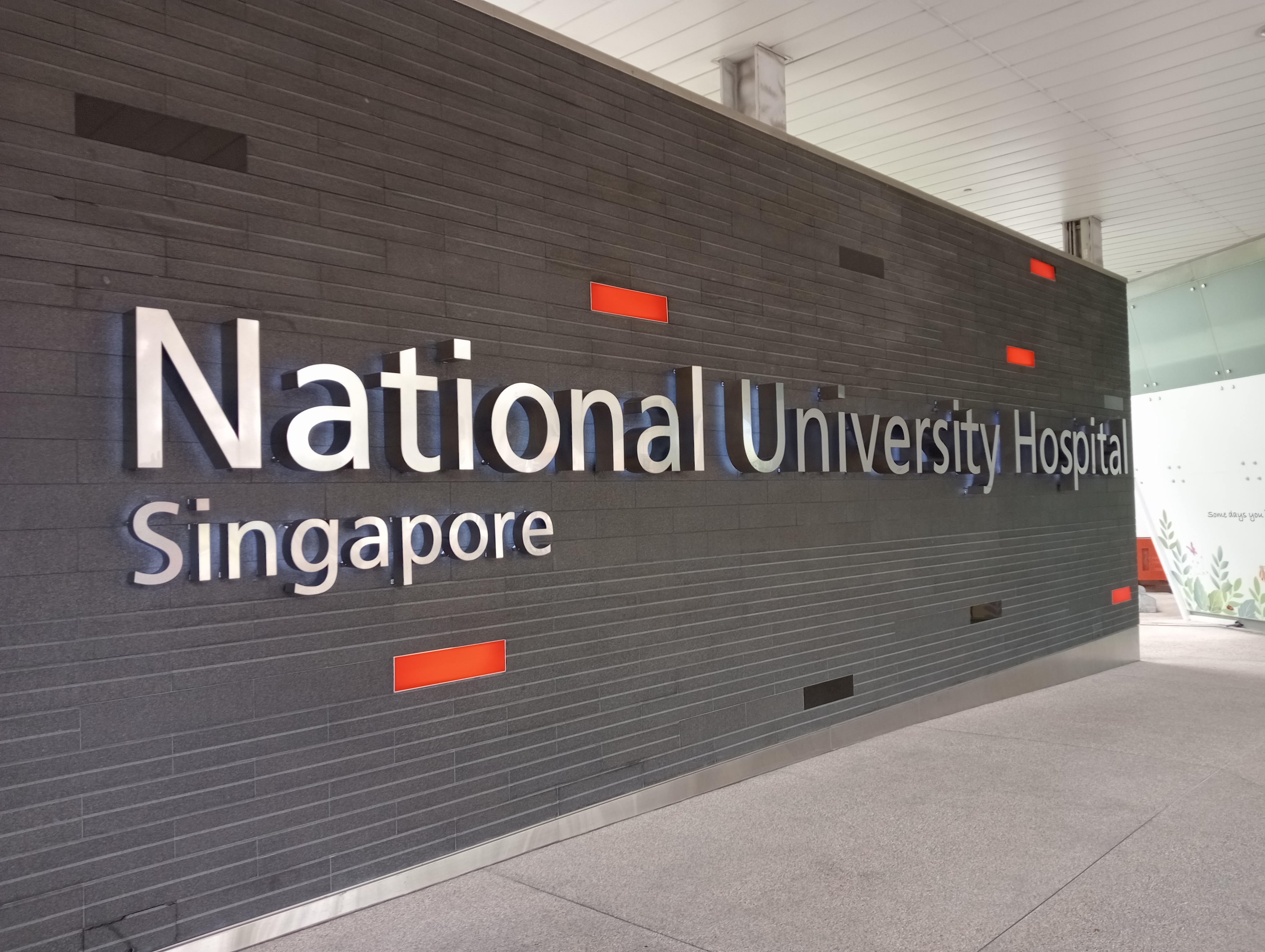 Singapore: Clean, Green, and Health-Focused (image credits: wikimedia)