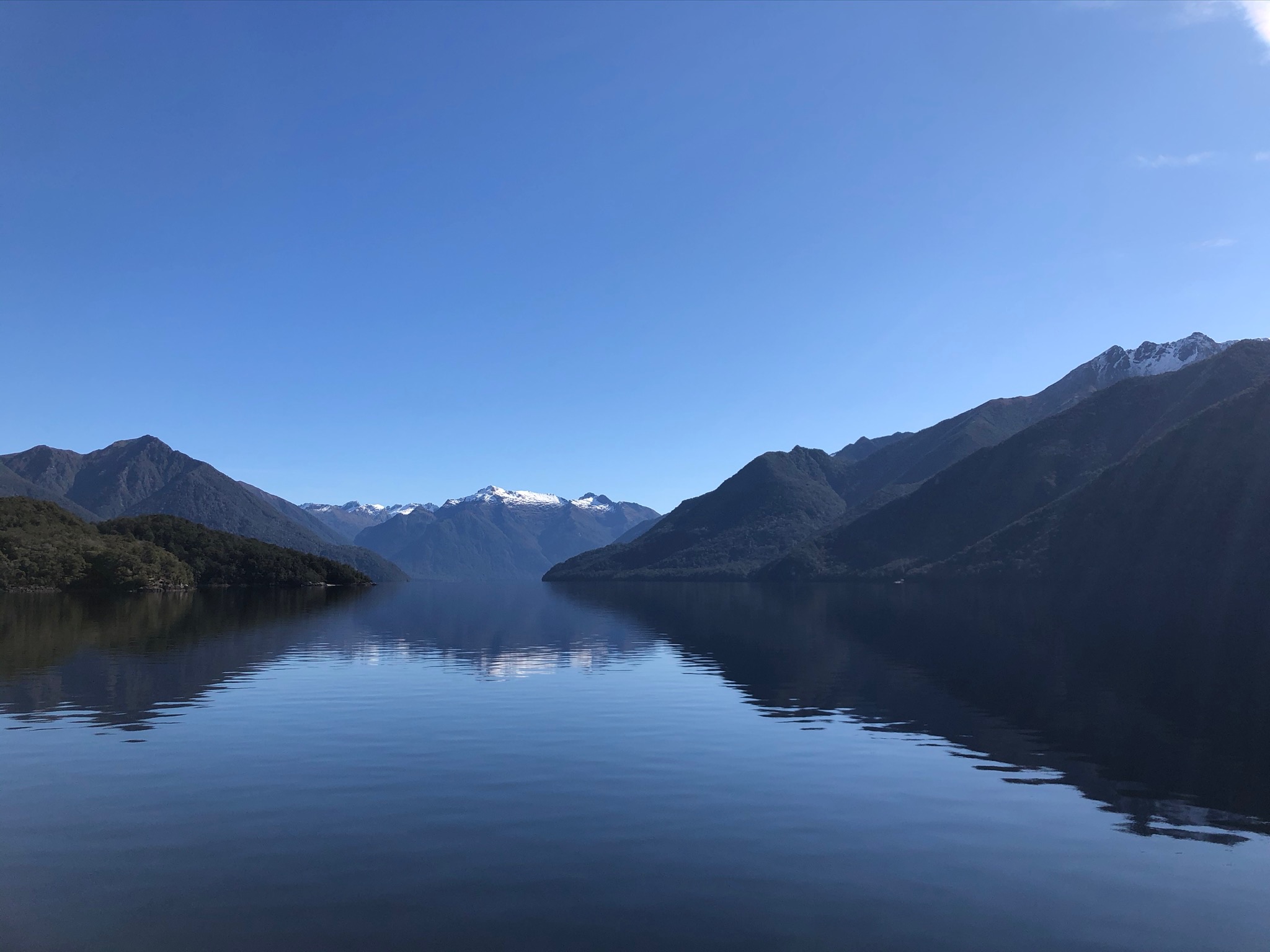 New Zealand Turquoise Perfection (image credits: wikimedia)