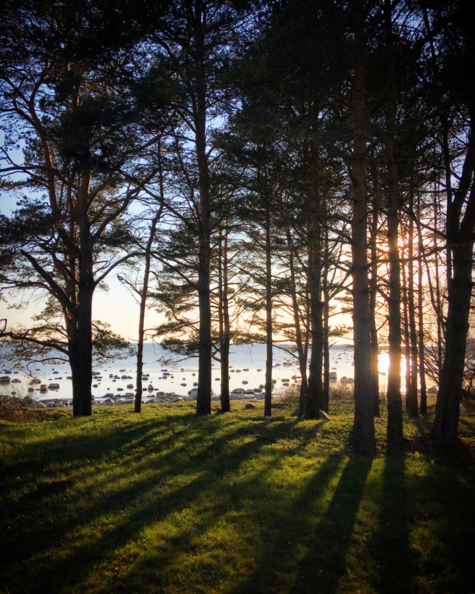 Weather Wonders (image credits: stocksnap)