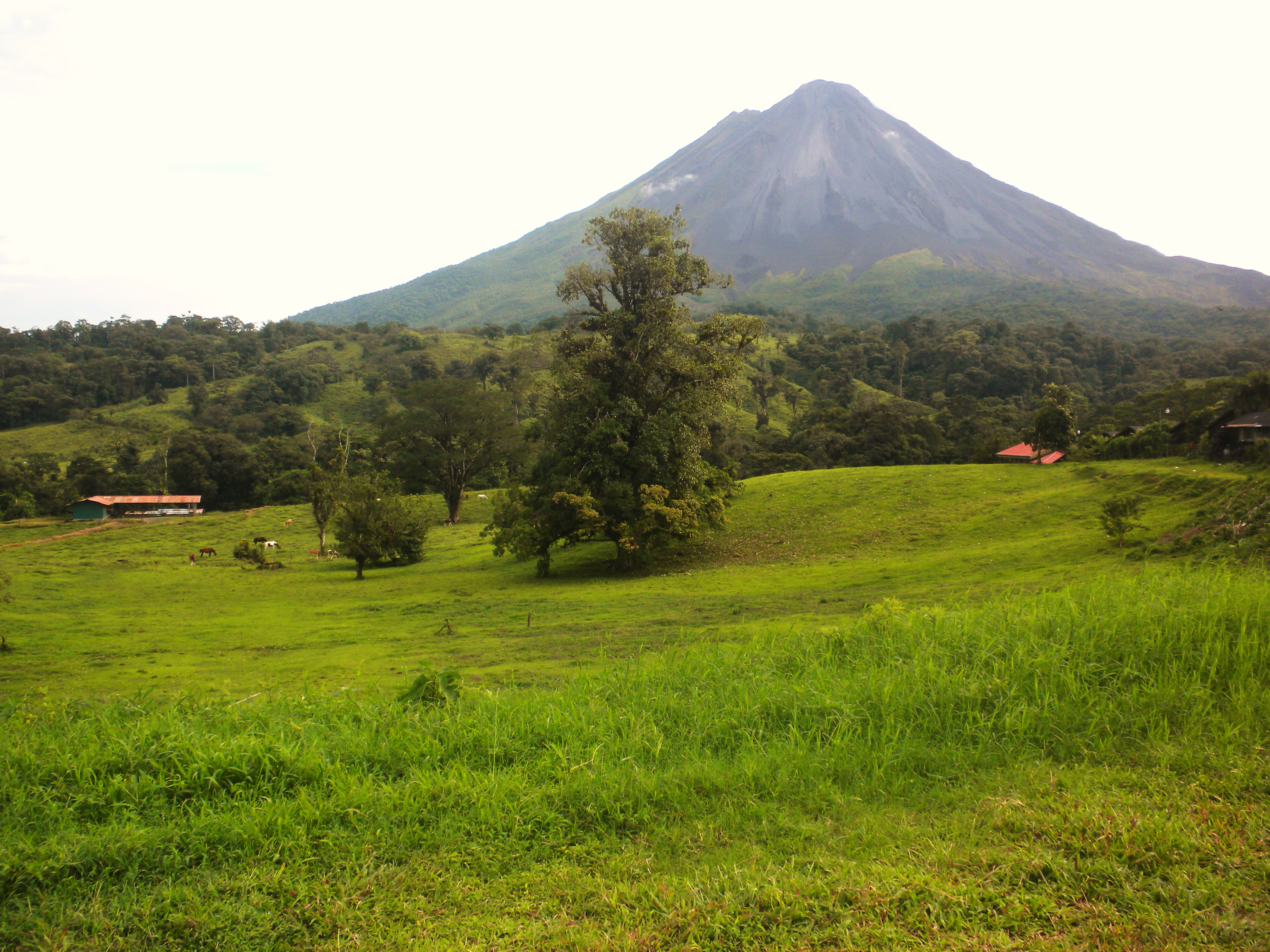 Costa Rica The Pura Vida Sustainability Pioneer (image credits: wikimedia)