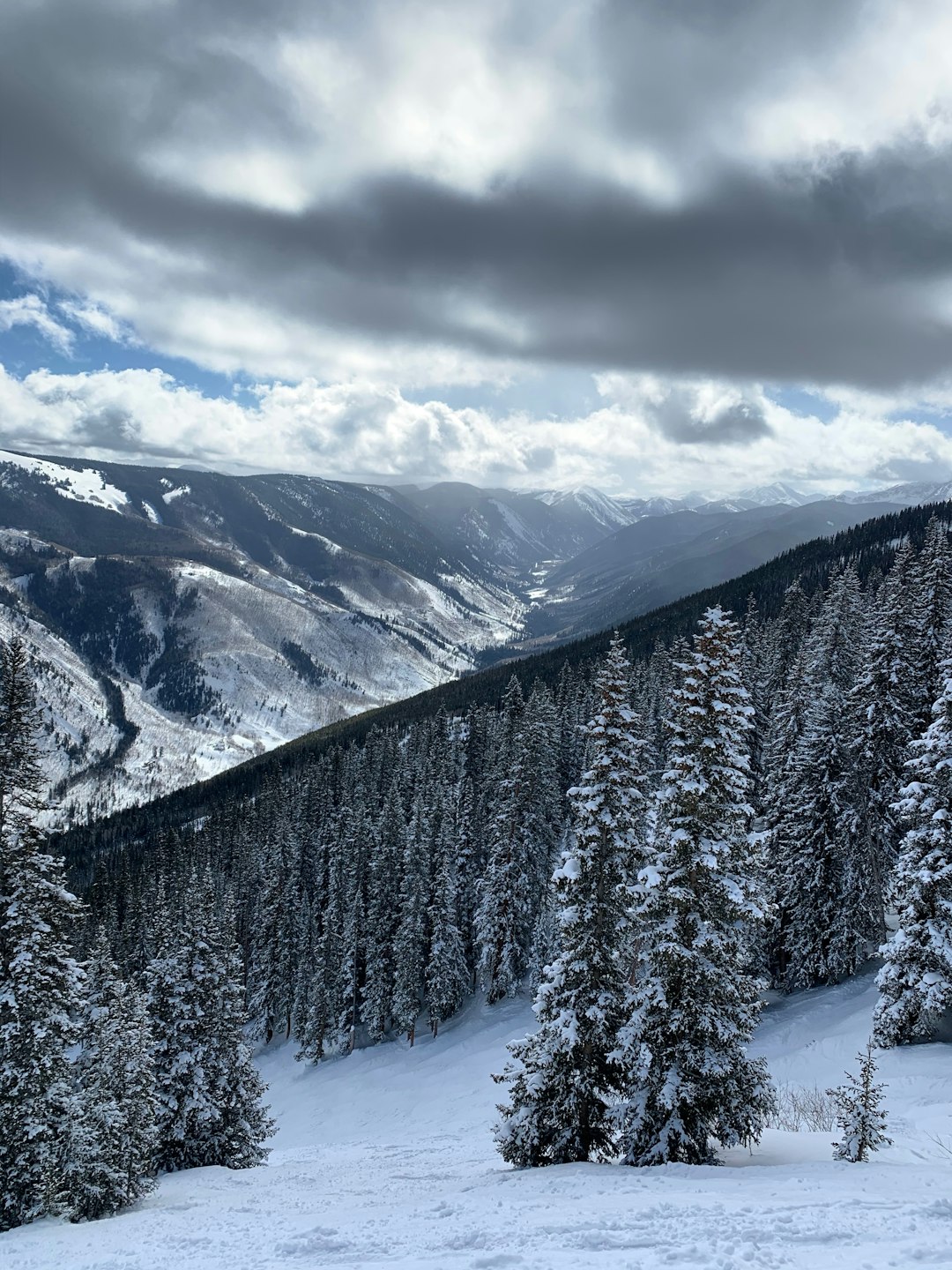Aspen, Colorado (image credits: unsplash)