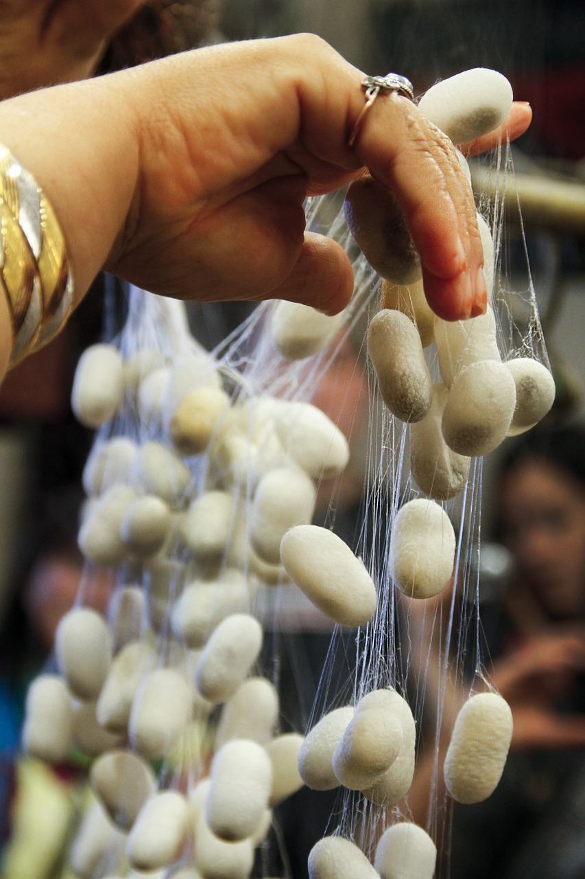 Fried Silk Worms (image credits: pixabay)