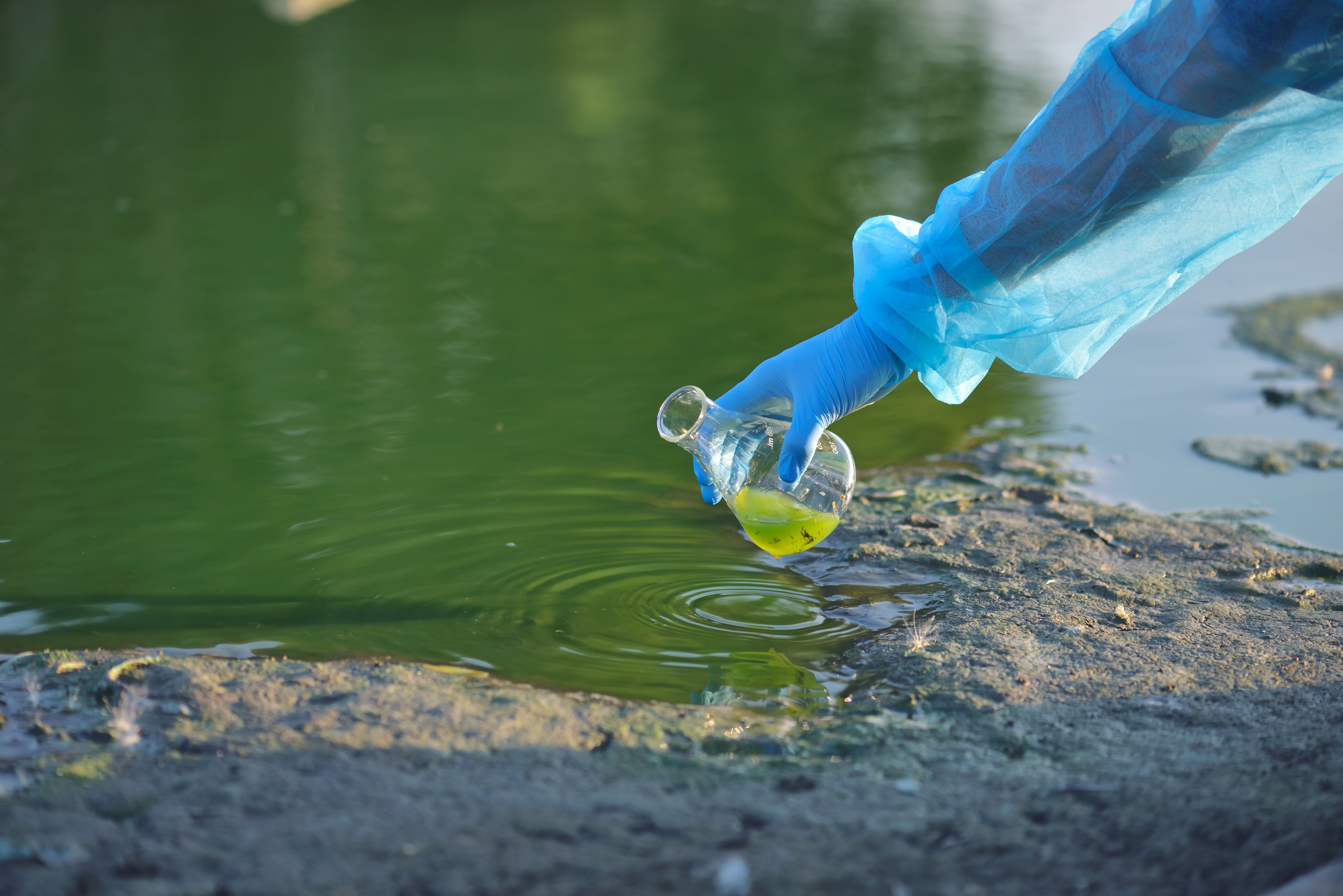 Environmental Recovery and Research (image credits: wikimedia)