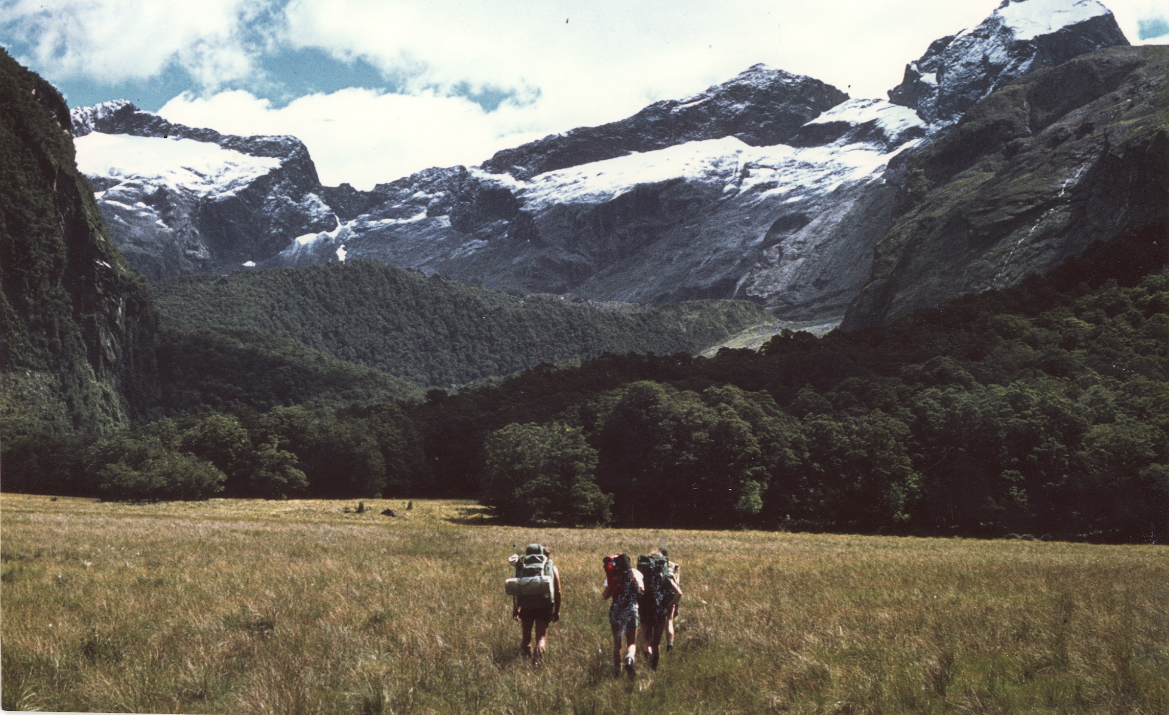 New Zealand: A Land of Opportunity (image credits: wikimedia)