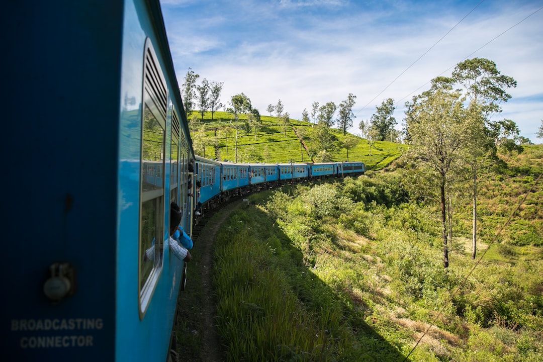 Blue Train: South Africa’s Rolling Romance (image credits: unsplash)