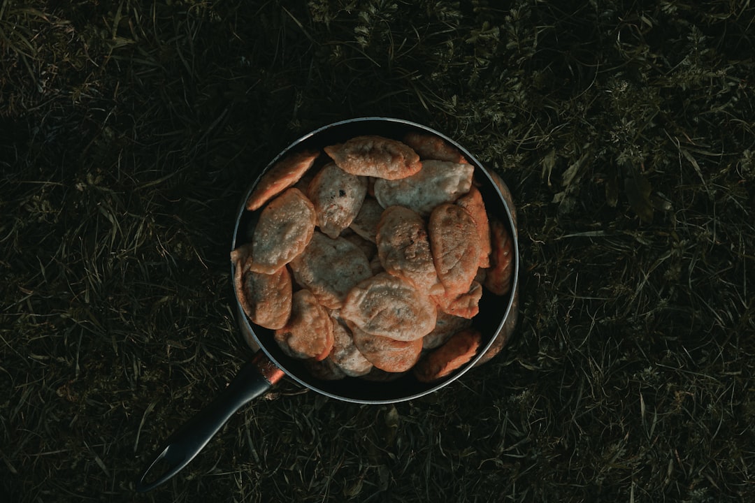 Leaving Food Out Attracts Bears and Breaks the Law (image credits: unsplash)