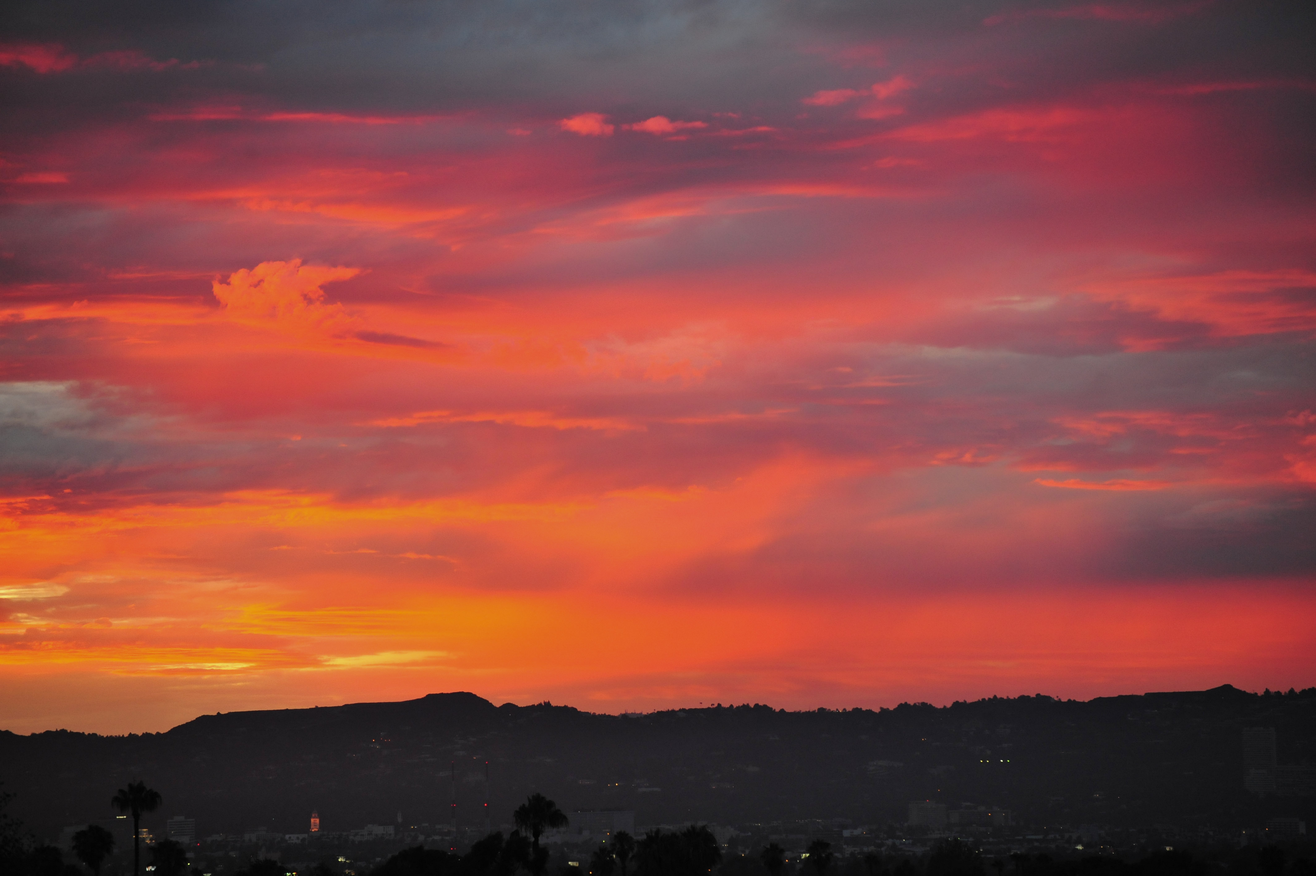 Los Angeles Dream and Hustle (image credits: MISSING SOURCE)
