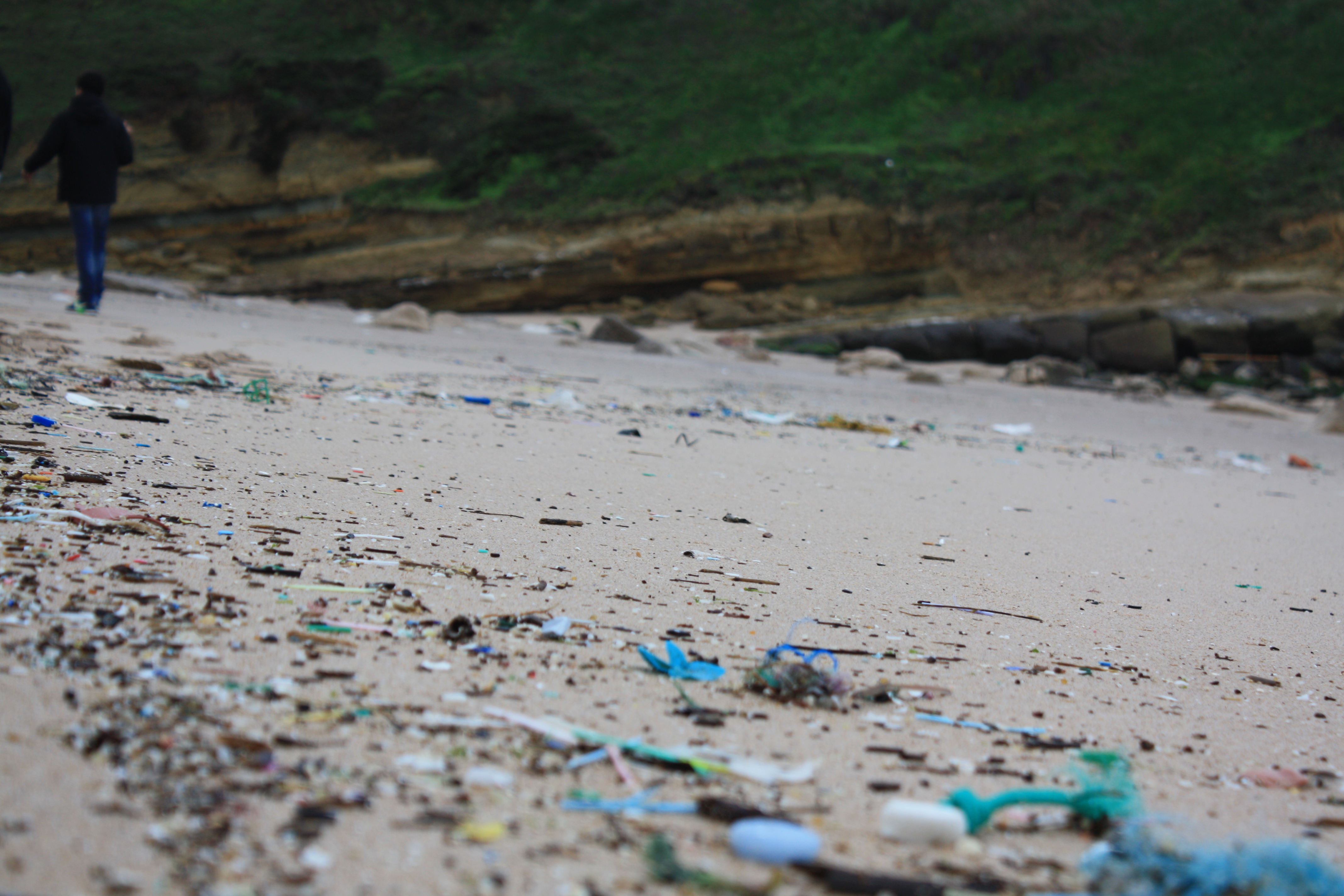 Environmental Considerations as Tourism Grows (image credits: wikimedia)
