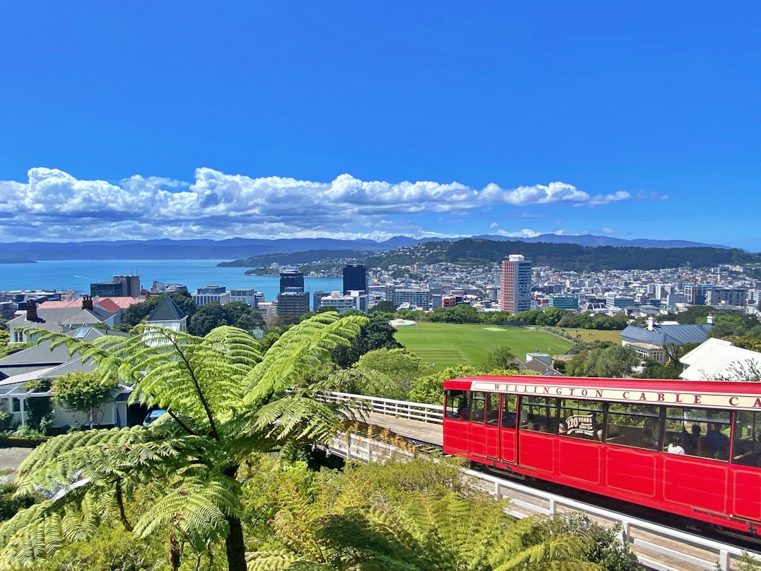 New Zealand: A Land of Opportunity (image credits: unsplash)