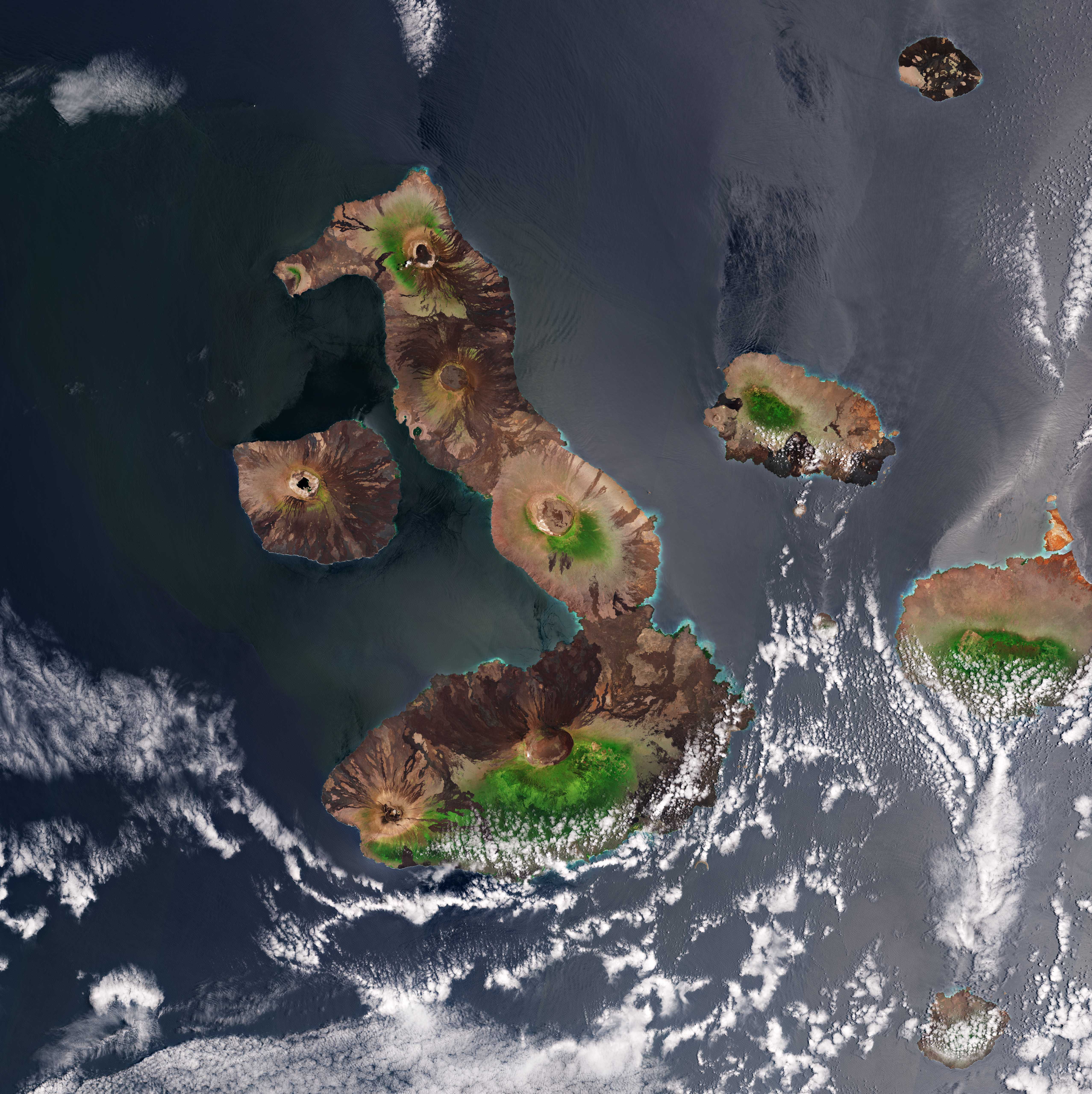 Galápagos Islands Evolution’s Last Stronghold (image credits: wikimedia)