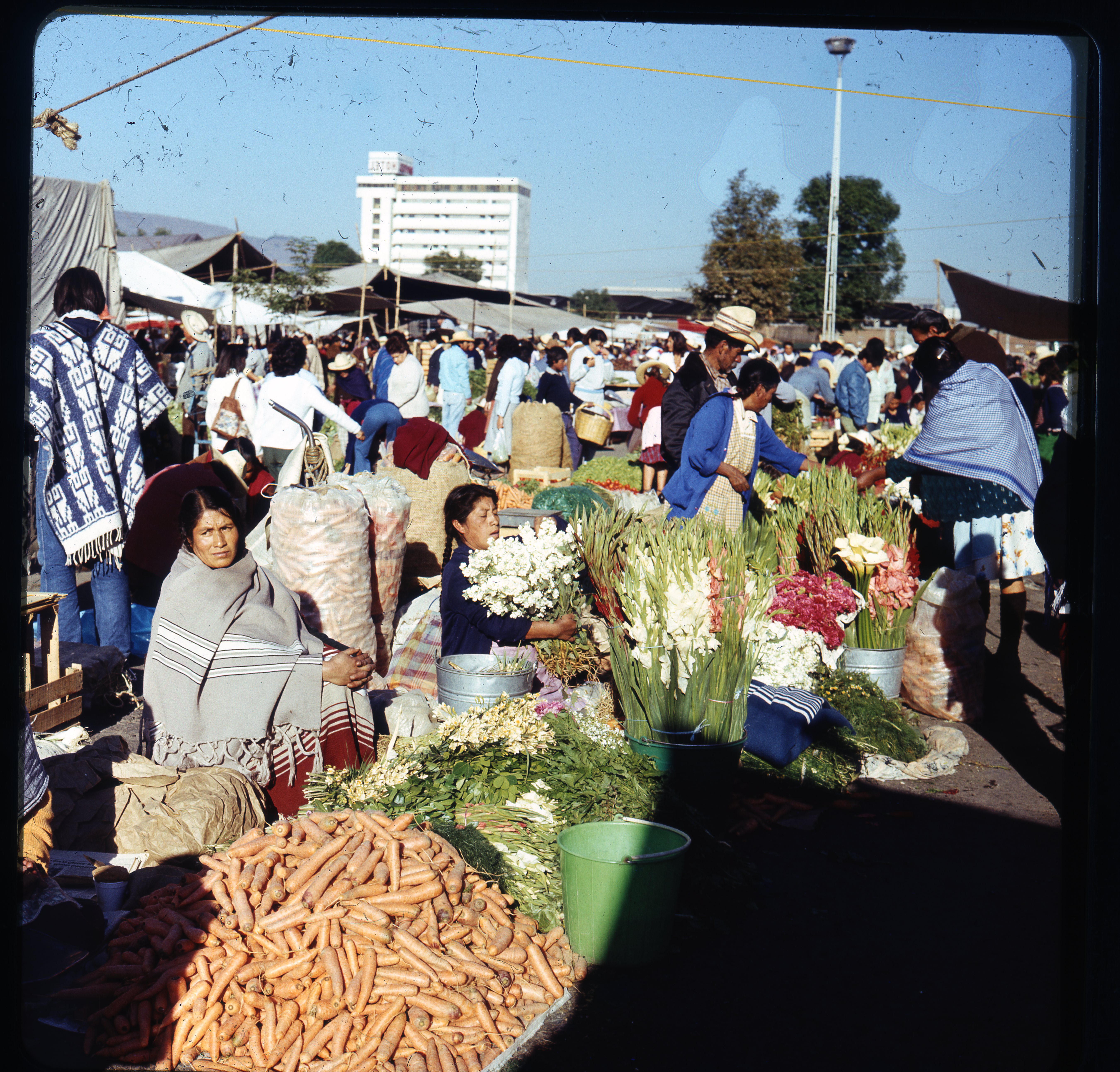 Local Voices and Resilient Spirits (image credits: wikimedia)