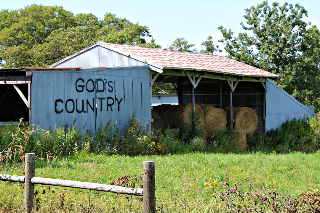 42. Richland County - 73.0 Years (image credits: unsplash)