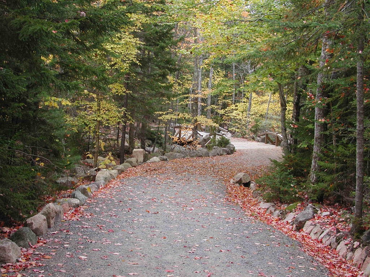 Acadia National Park, Maine (image credits: pixabay)