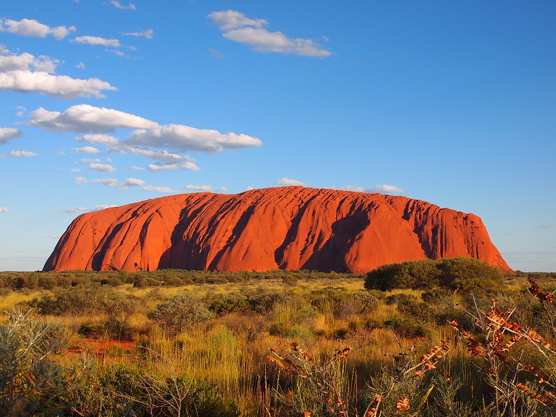 Australia: Unique Wildlife and Urban Culture (image credits: flickr)