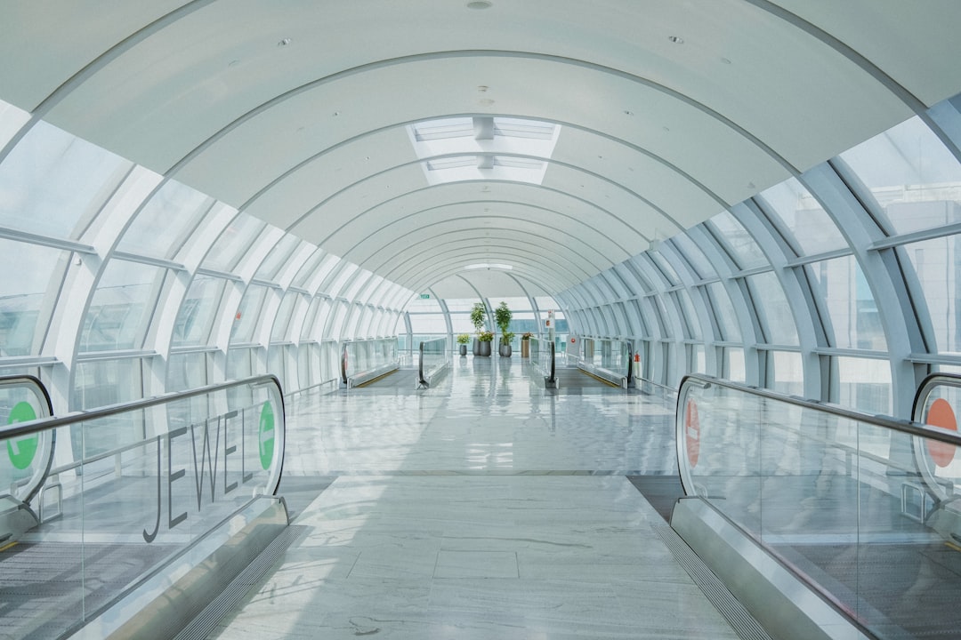 Travel Bans and Pandemic Complications (image credits: unsplash)