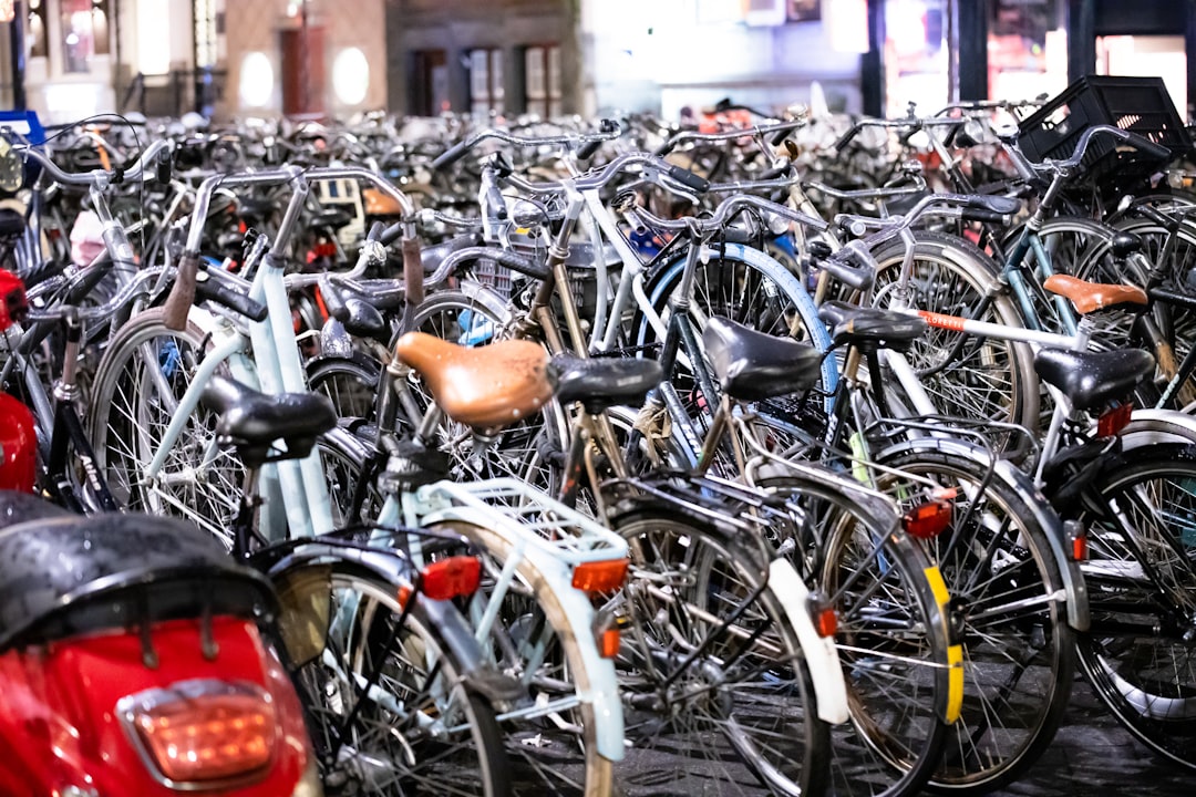 Transportation Woes (image credits: unsplash)
