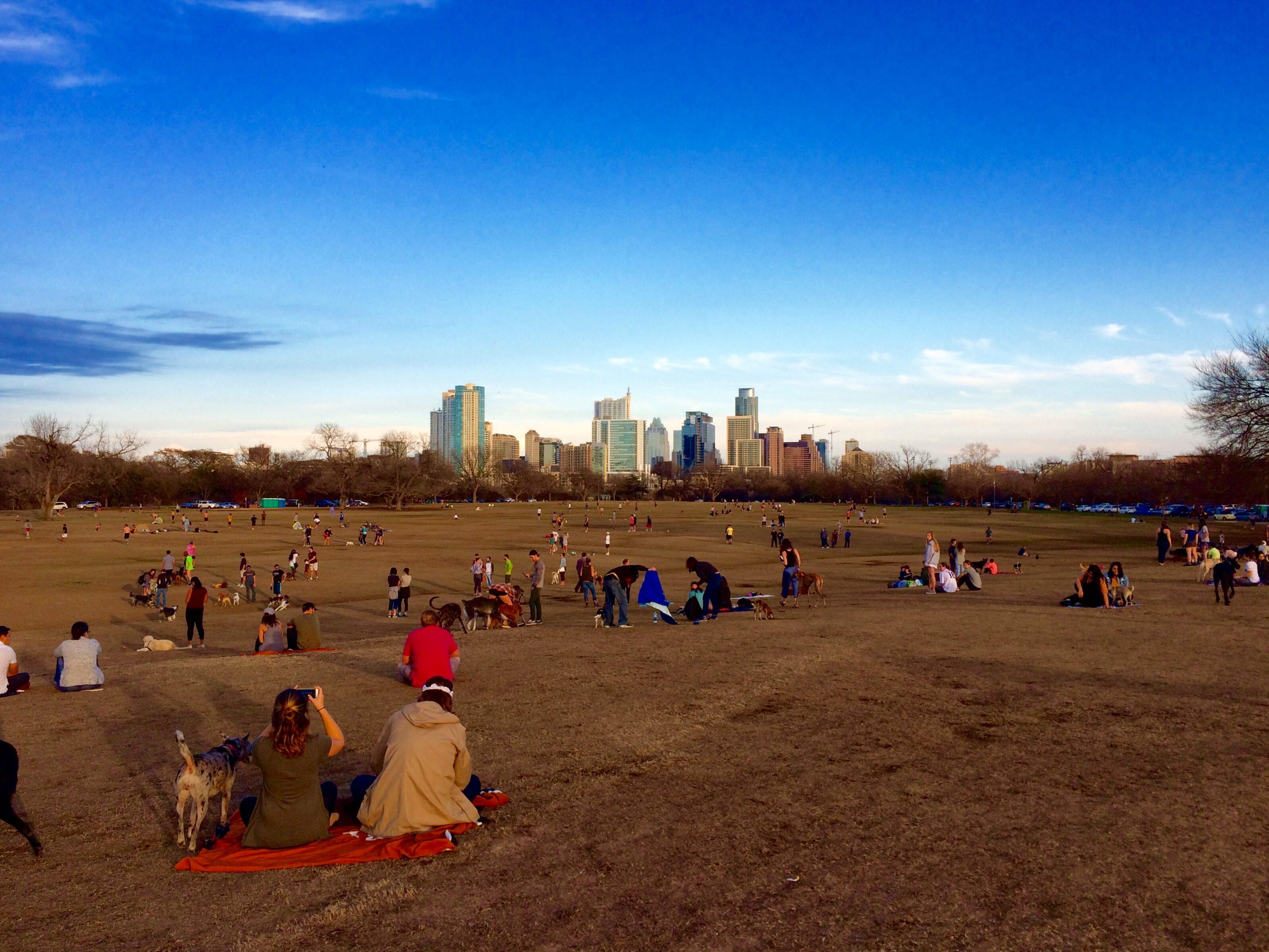 Austin, Texas (image credits: wikimedia)