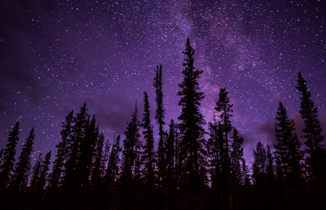 Jasper National Park, Canada (image credits: unsplash)