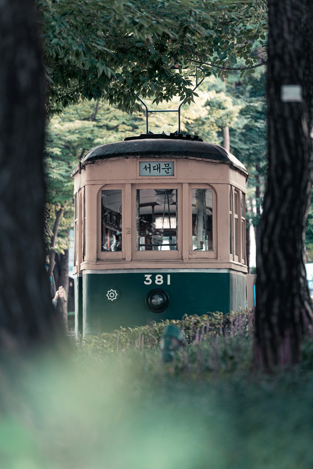The Business of Memory Lane (image credits: unsplash)