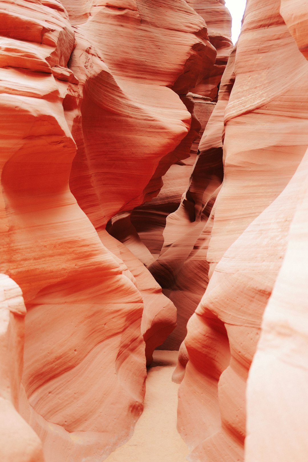The Wave, Arizona: Nature’s Surreal Masterpiece (image credits: unsplash)
