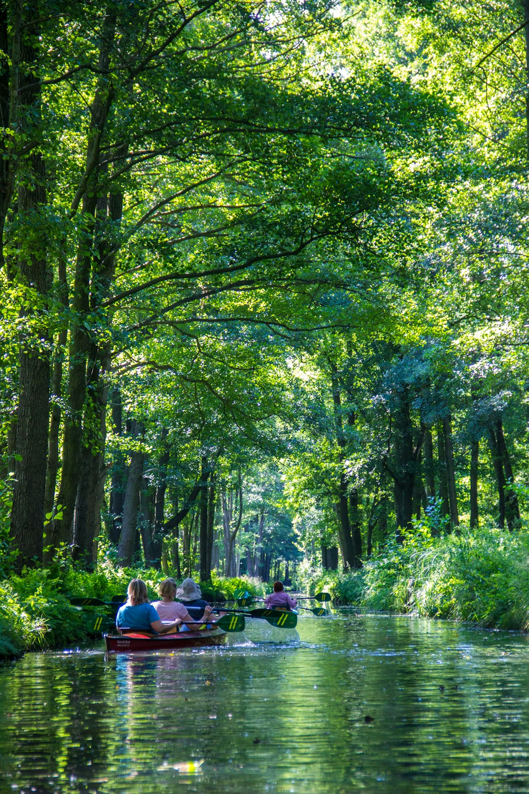 The Green Travel Dilemma (image credits: unsplash)