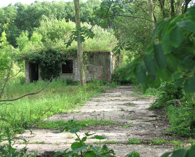 Decay and Nature’s Reclamation (image credits: wikimedia)