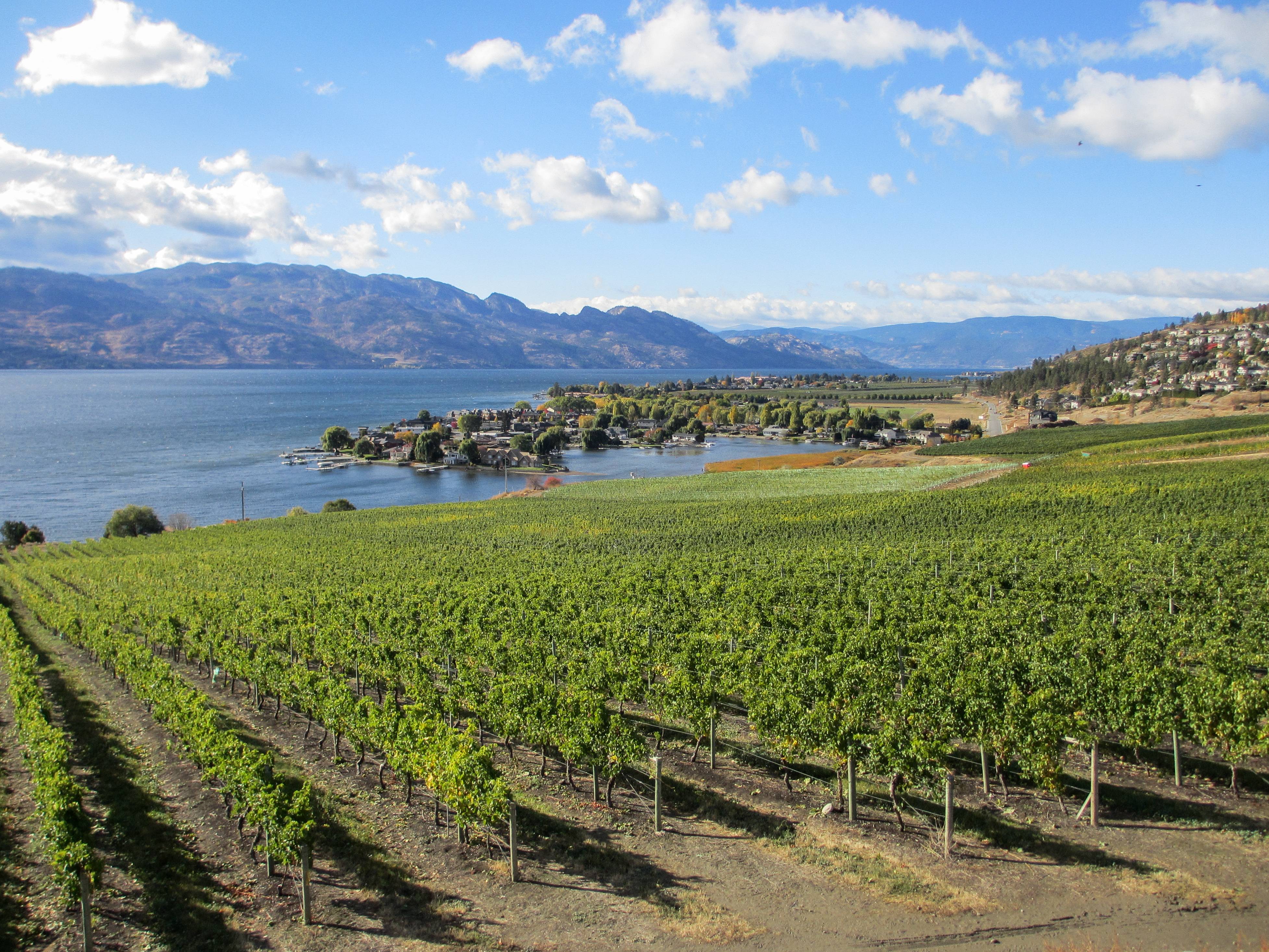 Kelowna, British Columbia (image credits: wikimedia)