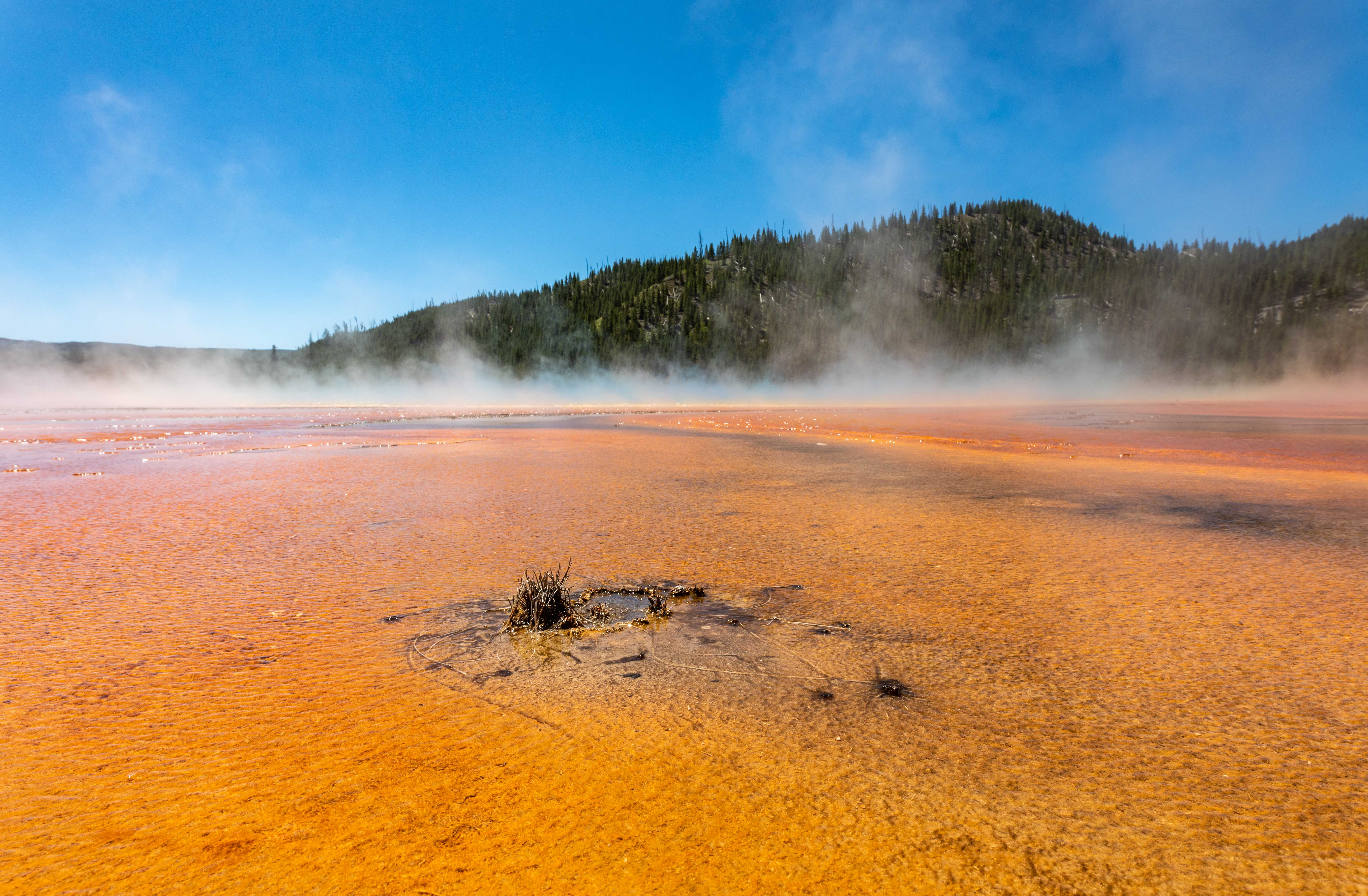 Yellowstone National Park Wild Beauty Under Threat (image credits: wikimedia)
