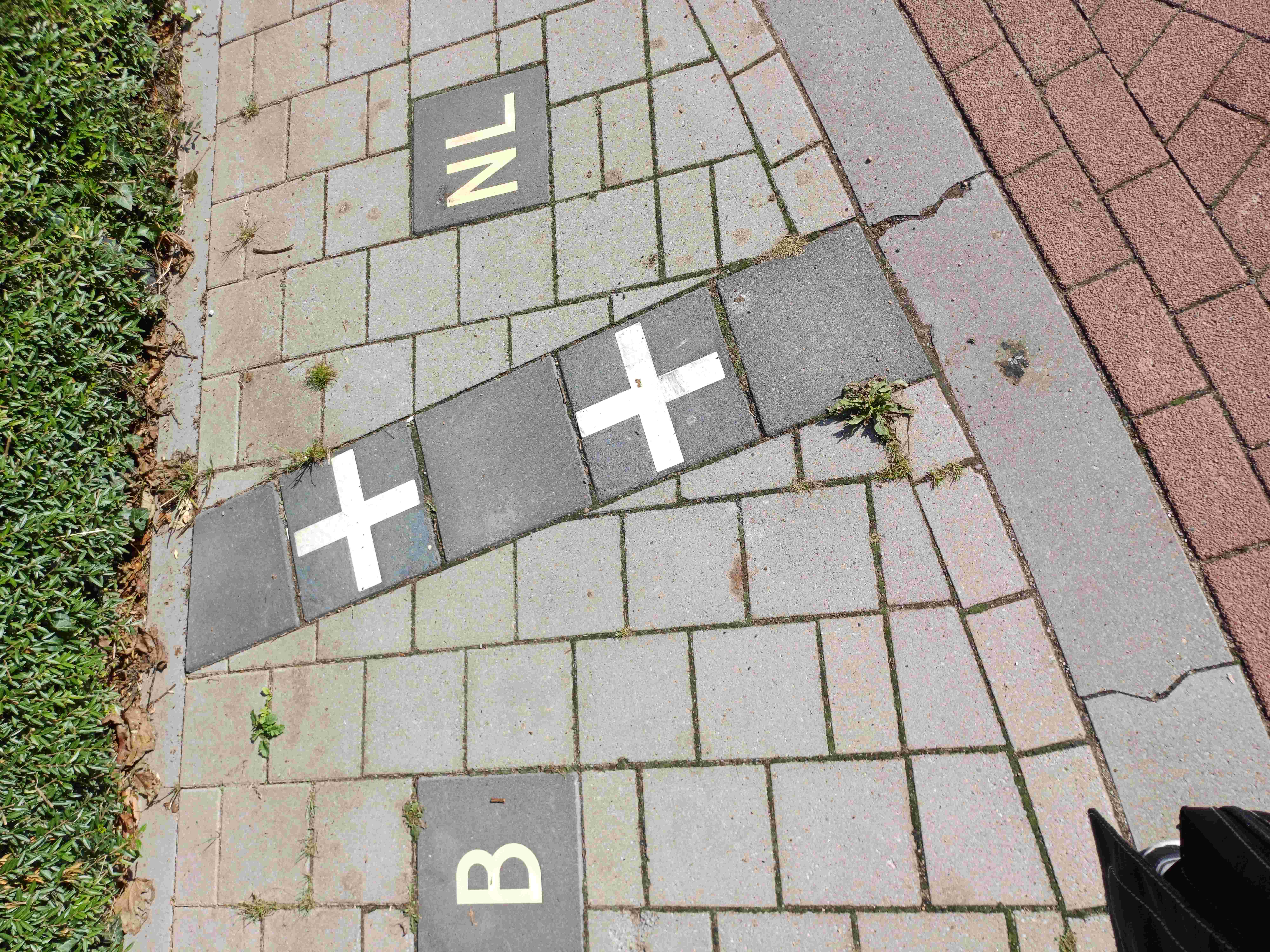 The Enclaves and Exclaves of Baarle
