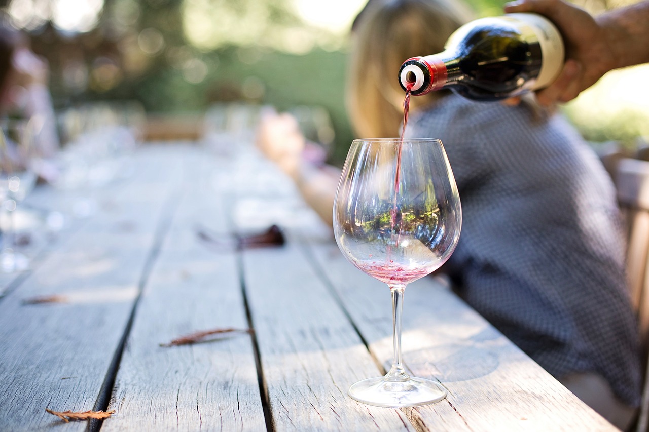 Wine Tourism: A Journey Through History and Hospitality (image credits: pixabay)