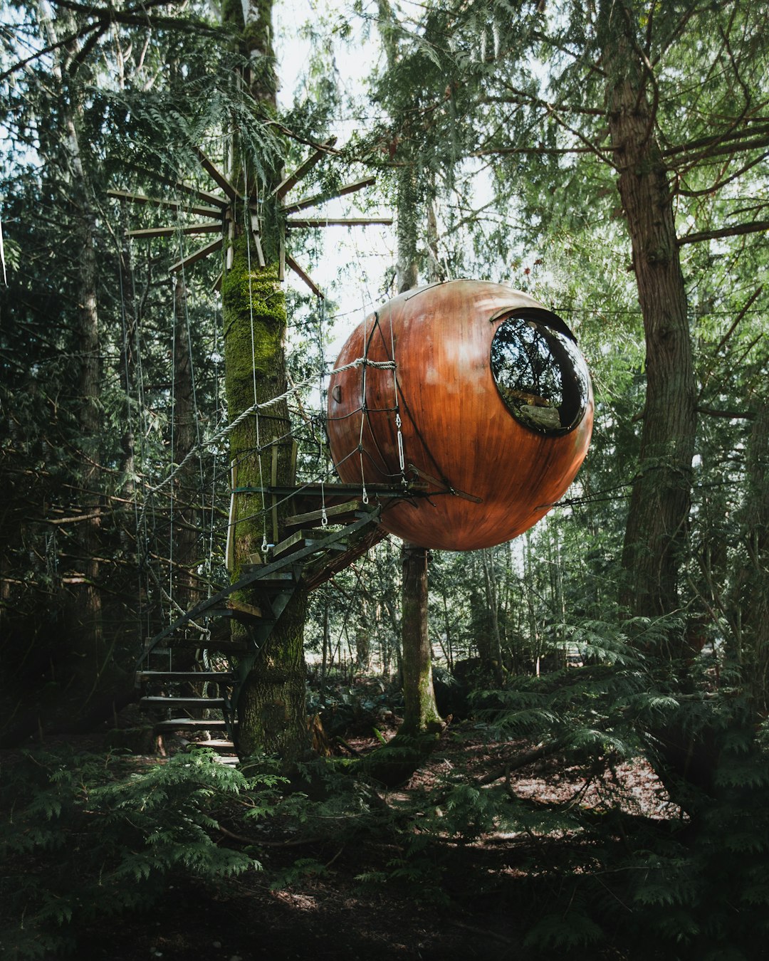 Impact on Local Communities (image credits: unsplash)