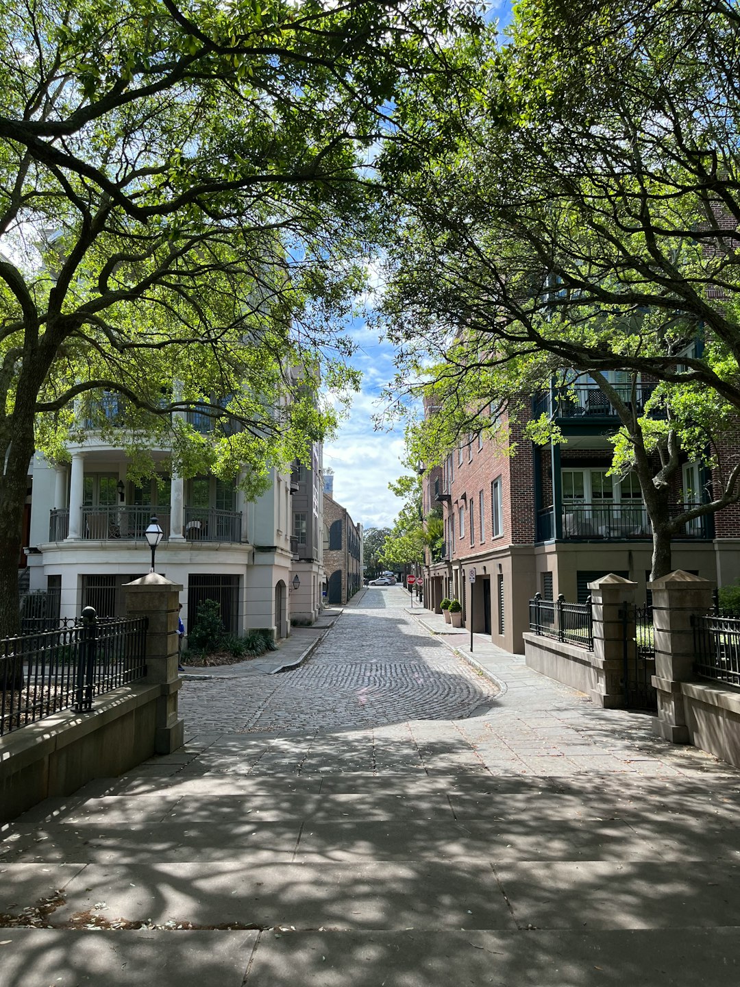 4. Charleston, South Carolina: Historic Charm Meets Culinary Cool (image credits: unsplash)